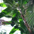 D_IMG_5795
