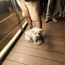 IMG_20260809_113628-1