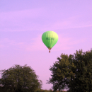 A_IMG_5246