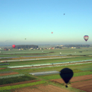 A_IMG_4519