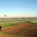 A_IMG_4520