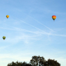 A_IMG_4561