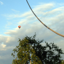 IMG_3547
