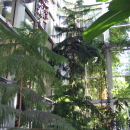 D_IMG_5796