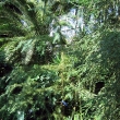 D_IMG_5797