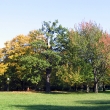 D_IMG_5804