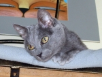 1_Foto_20091010_Kaja_0523m