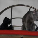 Foto_20080531_0118m
