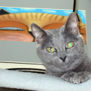Foto_20091010_0519m
