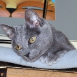 1_Foto_20091010_Kaja_0523m