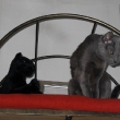 Foto_20080531_0118m