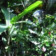 L_IMG_5783