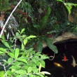 L_IMG_5789