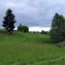 30. Elk