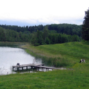 32. Elk