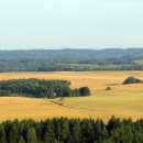 40. Elk