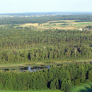 42. Elk