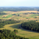 47. Elk