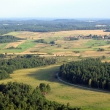 47. Elk