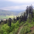 61. Wisla