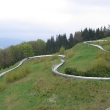 64. Wisla