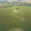 P_IMG_5235