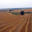 P_IMG_5363