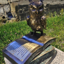 IMG_20250620_033330_