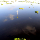 A_IMG_4847