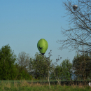 DSC02449