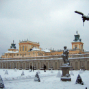 Foto_20100103_0529m