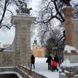 Foto_20100103_0525m