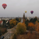 IMG_20251110_002523-768x1024